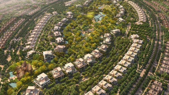 aldar_wilds_moringa_price